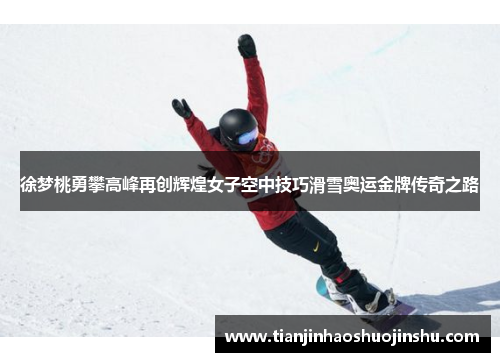 徐梦桃勇攀高峰再创辉煌女子空中技巧滑雪奥运金牌传奇之路