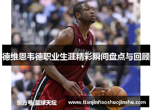 德维恩韦德职业生涯精彩瞬间盘点与回顾