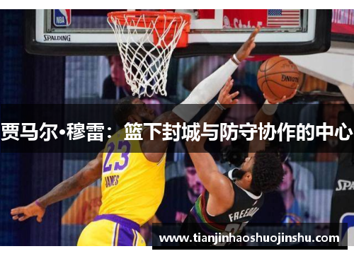 贾马尔·穆雷:篮下封城与防守协作的中心 贾马尔·穆雷:篮下封城与防守协作的中心