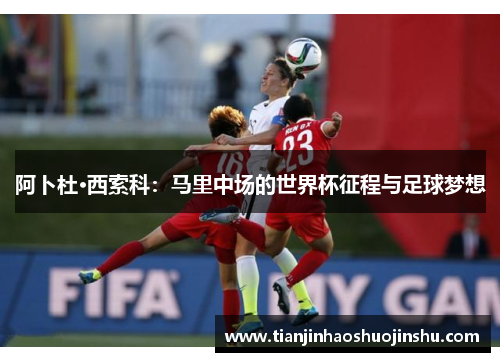 阿卜杜·西索科：马里中场的世界杯征程与足球梦想