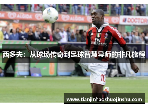 西多夫:从球场传奇到足球智慧导师的非凡旅程 西多夫:从球场传奇到足球智慧导师的非凡旅程