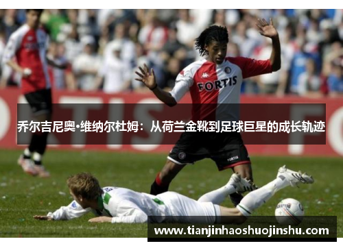 乔尔吉尼奥·维纳尔杜姆:从荷兰金靴到足球巨星的成长轨迹 乔尔吉尼奥·维纳尔杜姆:从荷兰金靴到足球巨星的成长轨迹