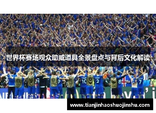 世界杯赛场观众助威道具全景盘点与背后文化解读