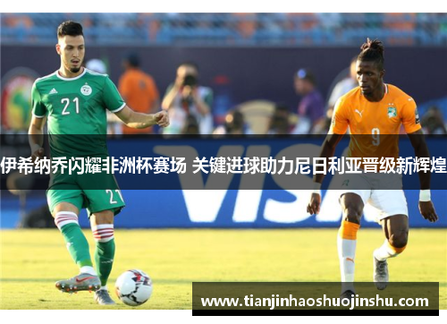 伊希纳乔闪耀非洲杯赛场 关键进球助力尼日利亚晋级新辉煌 伊希纳乔闪耀非洲杯赛场 关键进球助力尼日利亚晋级新辉煌