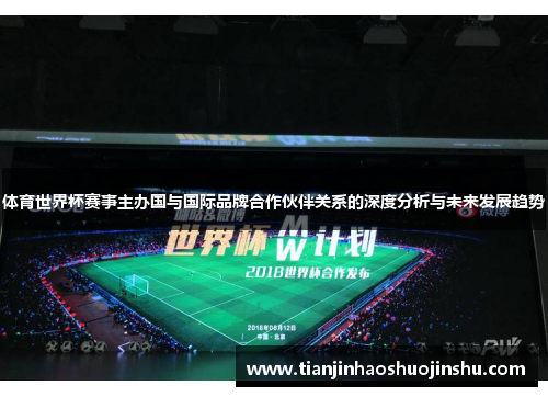 体育世界杯赛事主办国与国际品牌合作伙伴关系的深度分析与未来发展趋势