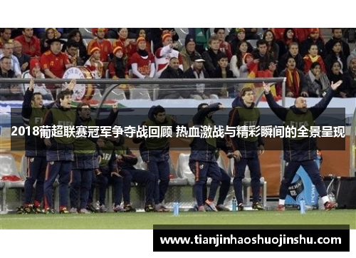 2018葡超联赛冠军争夺战回顾 热血激战与精彩瞬间的全景呈现