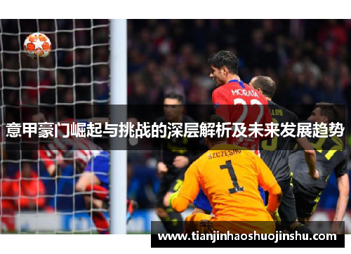 意甲豪门崛起与挑战的深层解析及未来发展趋势