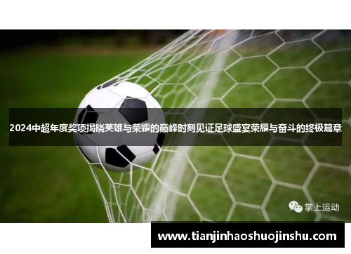 2024中超年度奖项揭晓英雄与荣耀的巅峰时刻见证足球盛宴荣耀与奋斗的终极篇章 2024中超年度奖项揭晓英雄与荣耀的巅峰时刻见证足球盛宴荣耀与奋斗的终极篇章