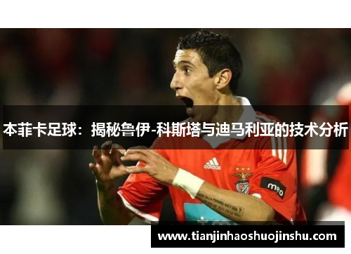 本菲卡足球：揭秘鲁伊-科斯塔与迪马利亚的技术分析