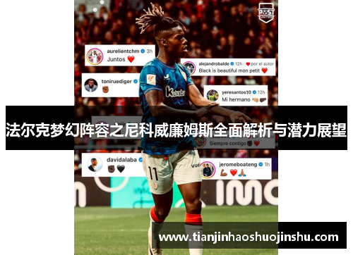 法尔克梦幻阵容之尼科威廉姆斯全面解析与潜力展望