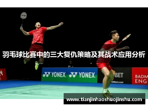 羽毛球比赛中的三大复仇策略及其战术应用分析