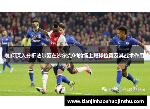 如何深入分析法尔范在沙尔克04的场上踢球位置及其战术作用