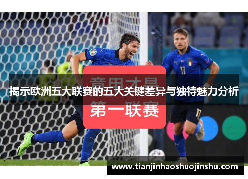 揭示欧洲五大联赛的五大关键差异与独特魅力分析