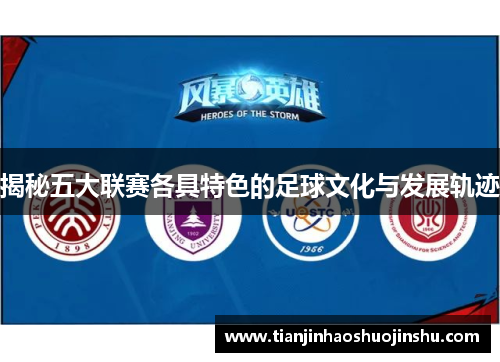 揭秘五大联赛各具特色的足球文化与发展轨迹
