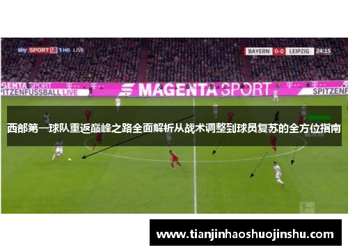 西部第一球队重返巅峰之路全面解析从战术调整到球员复苏的全方位指南