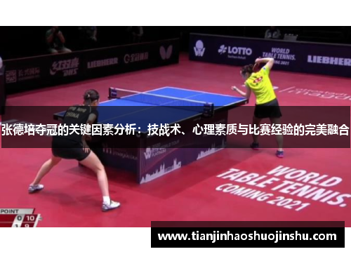 张德培夺冠的关键因素分析：技战术、心理素质与比赛经验的完美融合