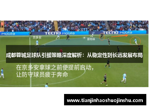 成都蓉城足球队引援策略深度解析：从稳定性到长远发展布局