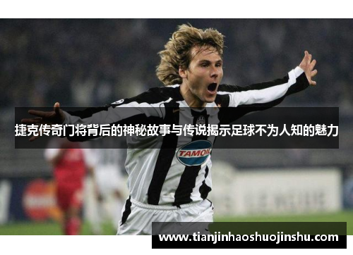 捷克传奇门将背后的神秘故事与传说揭示足球不为人知的魅力 捷克传奇门将背后的神秘故事与传说揭示足球不为人知的魅力