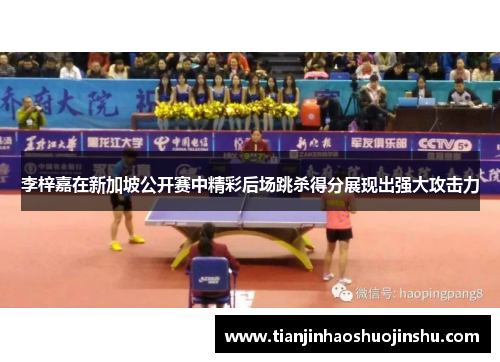 李梓嘉在新加坡公开赛中精彩后场跳杀得分展现出强大攻击力